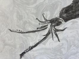 Gyotaku of squid - additional view