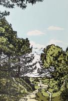 The Coastal Path at Holkham - additional view
