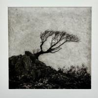 Holding Strong by Teresa Jennings