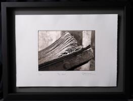The Word by Roger Stedman