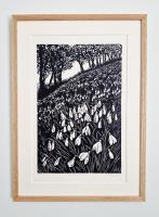 Snowdrop Wood - additional view