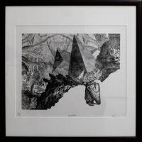 Resolute - additional view