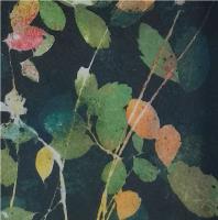 Folige - additional view