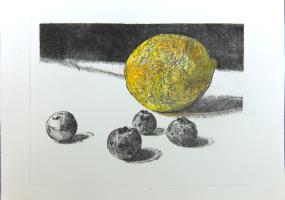 Lemon and Blueberries by Anthony williams