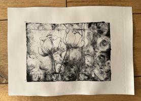 Impressions of What Remains by Justina Choi