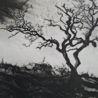 Standing in silence - additional view