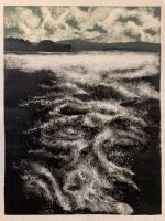 Wild Water by Ian Cox