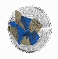 Gold and Navy larch Tree Ring Print - additional view