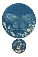 Large Blue by Annie Guest